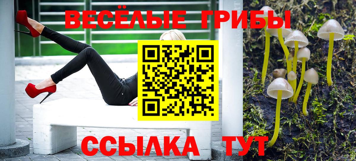 Бошки Шишки  Камышлов  Вход с VPN  МЕФ кристаллы  Гашиш  Cocaine 