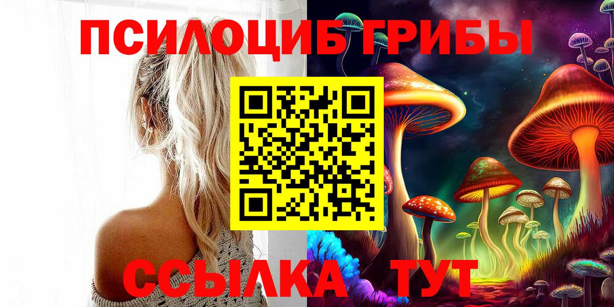 Камышлов  Псилоцибиновые грибы Psilocybine cubensis  Галлюциногенные грибы мухоморы  Вход с VPN 